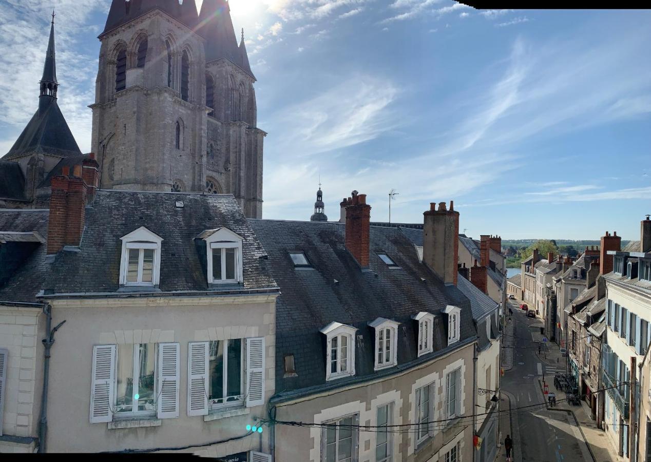 T2 - Au Calme Royaloire - Chateau A Vue - Luxe, Renove Блуа Экстерьер фото