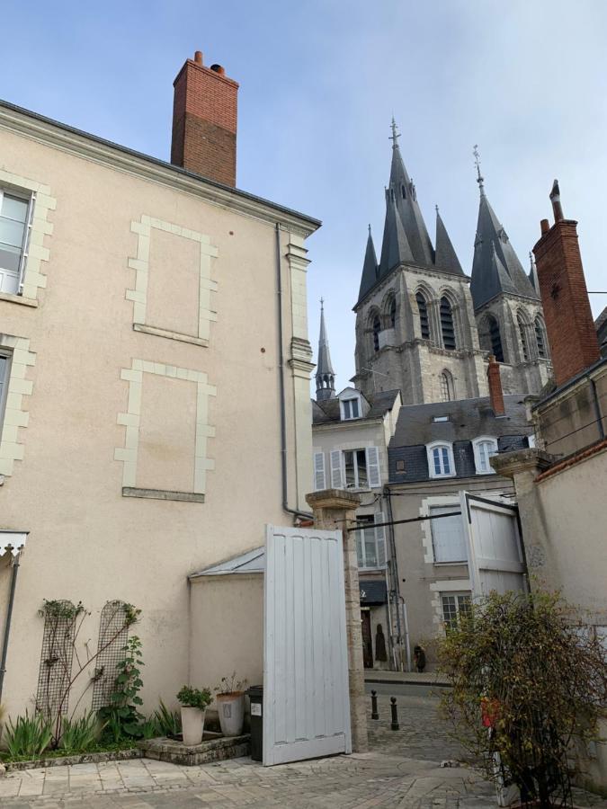 T2 - Au Calme Royaloire - Chateau A Vue - Luxe, Renove Блуа Экстерьер фото